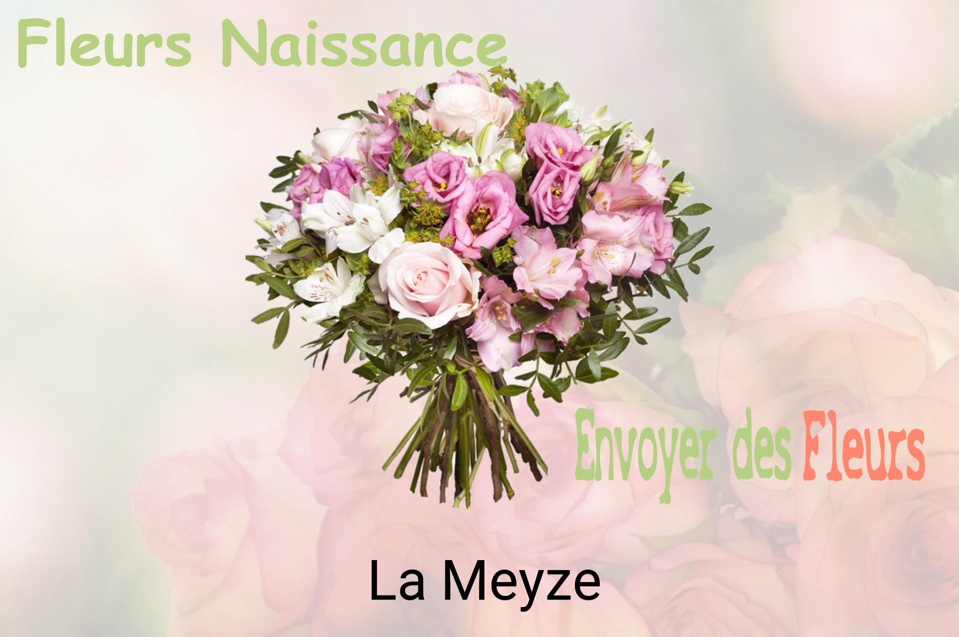 Bouquet de fleurs de naissance livré à La Meyze